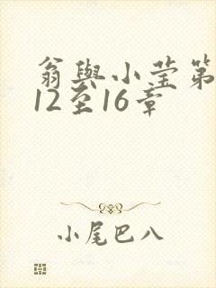 翁与小莹第十部12至16章