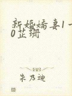 新婚娇妻1一40芷珊