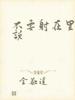 不要射在里面小说