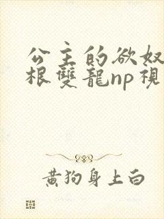 公主的欲奴h四根双龙np视频