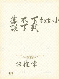 落不下txt小说下载