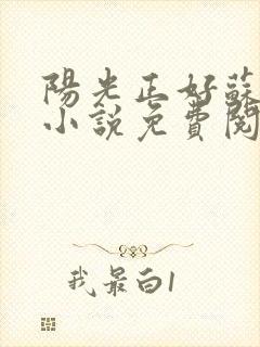 阳光正好苏玥玥小说免费阅读无弹窗