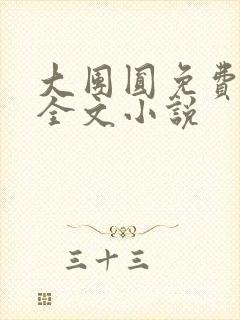 大团圆免费阅读全文小说封面