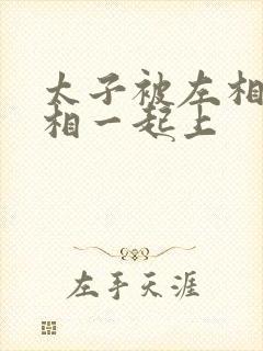 太子被左相和右相一起上