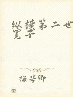 纵横第二世界 宽子