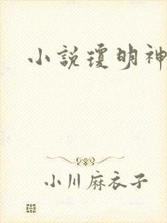 小说琼明神女录