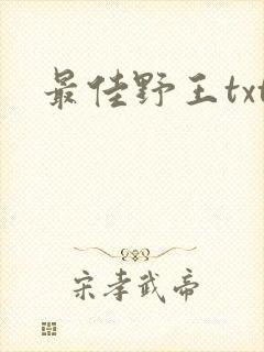 最佳野王txt封面