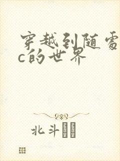 穿越到随处可以c的世界