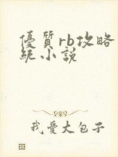 优质rb攻略系统小说