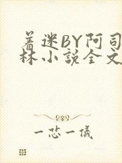 着迷BY阿司匹林小说全文免费阅读