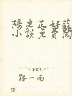 阳光正好苏玥玥小说免费阅读无弹窗