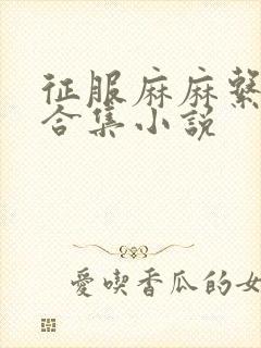 征服麻麻系列大合集小说