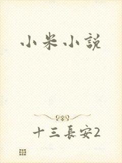 小米小说
