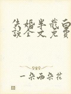 失婚半截白菜小说全文免费阅读