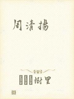 《周清扬》小说封面