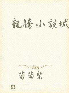 龙腾小说城