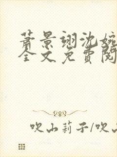 萧景翊沈婉小说全文免费阅读