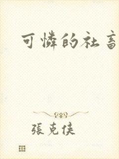 可怜的社畜小说