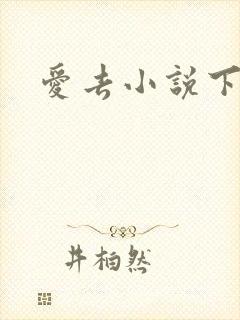 爱去小说下载网