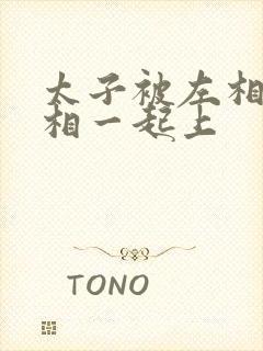 太子被左相和右相一起上