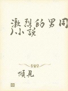 激烈的男同(h)小说