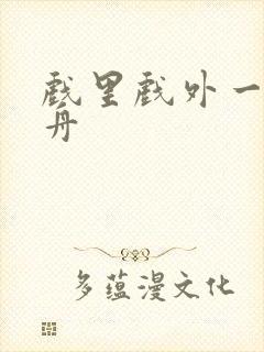 戏里戏外一叶孤舟封面