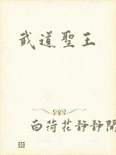 武道圣王