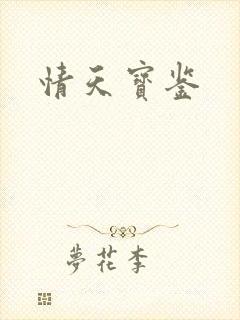 情天宝鉴