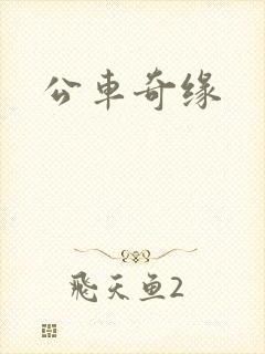 公车奇缘