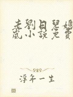 老刘日儿媳妇张岚小说免费阅读