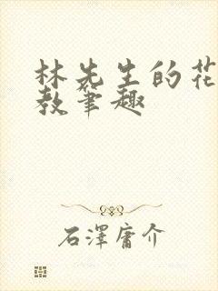 林先生的花式管教笔趣