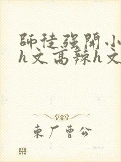 师徒强开小嫩苞h文高辣h文