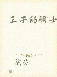 王子的骑士小说