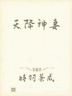 天降神妻
