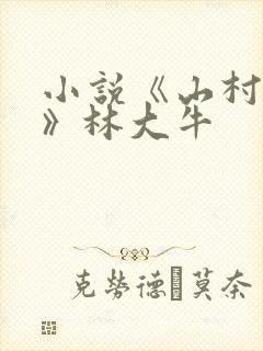 小说《山村情事》林大牛