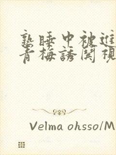 熟睡中被进了H青梅诱哄视频