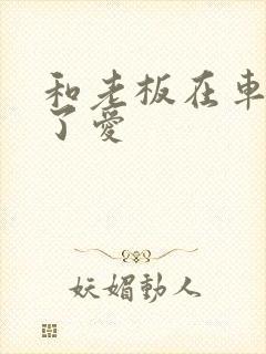 和老板在车里做了爱