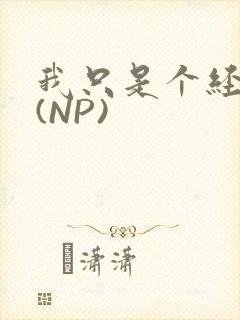 我只是个经纪人(NP)