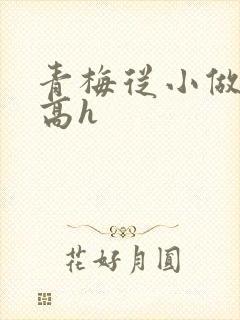 青梅从小做到大高h