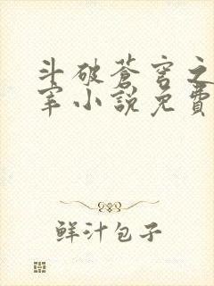 斗破苍穹之大主宰小说免费阅读全文