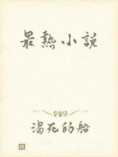 最热小说