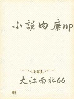 小说肉糜np