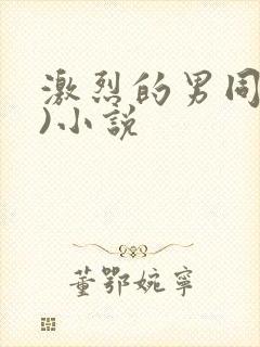 激烈的男同(h)小说