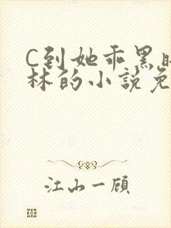 C到她乖黑暗森林的小说免费