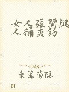 女人张开腿让男人桶爽的