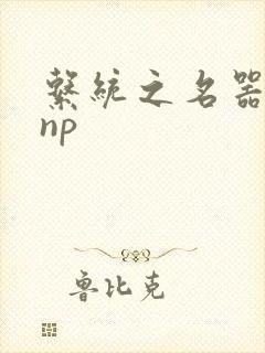 系统之名器攻略np