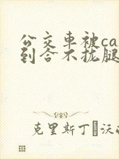 公交车被cao到合不拢腿视频