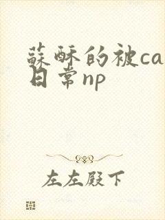 苏酥的被cao日常np