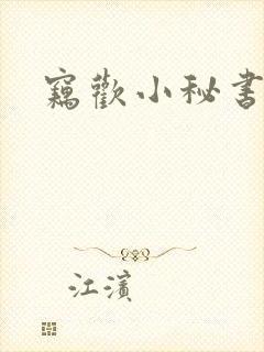 窃欢小秘书
