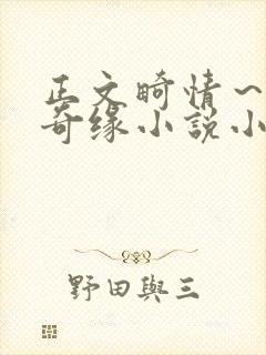 正文畸情～内裤奇缘小说小茹